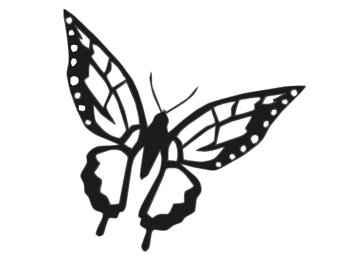 Coloring page butterfly