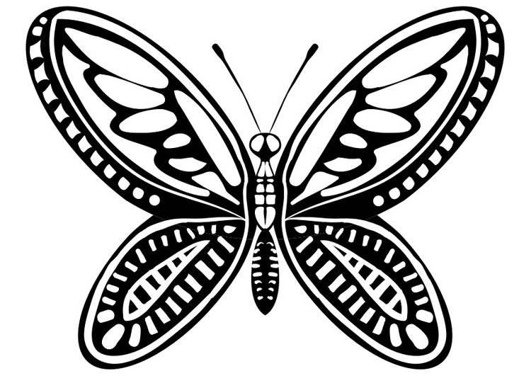 Coloring page butterfly