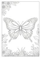 Coloring page butterfly flies in the garden