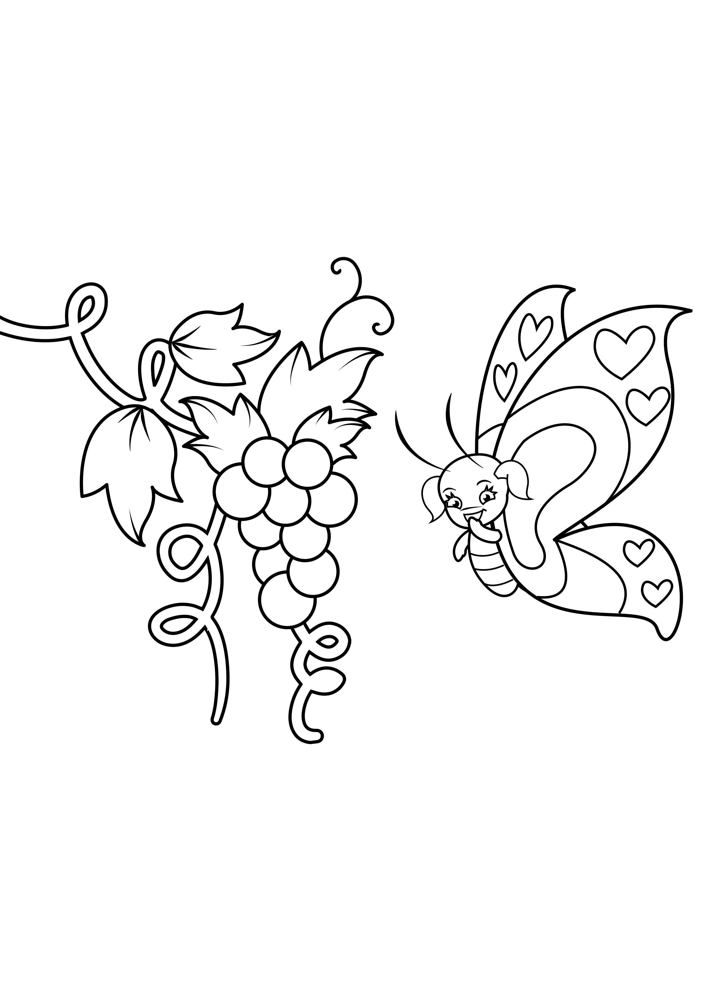Coloring page butterfly in grapes