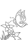 Coloring pages butterfly is smiling