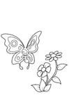 Coloring pages butterfly is smiling