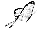 Coloring page butterfly