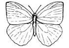 Coloring page Butterfly
