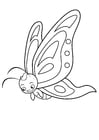 Coloring page butterfly