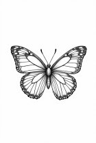 Coloring page butterfly