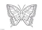 Coloring page butterfly