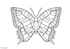 Coloring pages butterfly