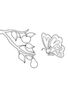 Coloring pages butterfly sees pear