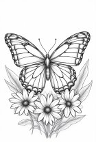 butterfly with flowers
