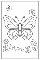 butterfly with flowers