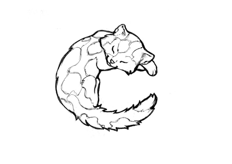 Coloring page c-cat