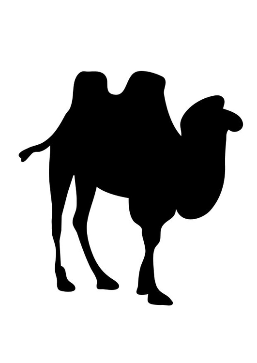 Coloring page camel