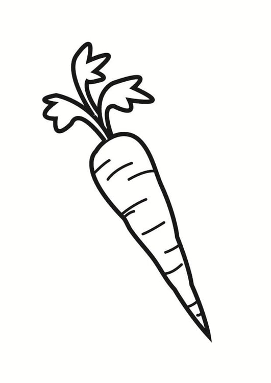 Coloring Page Carrot Free Printable Coloring Pages