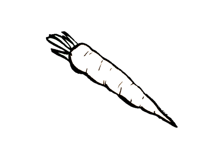 Coloring page carrot