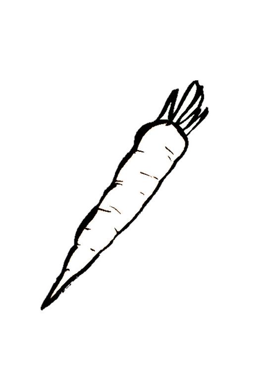 carrot