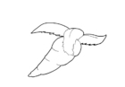 Coloring page carrot