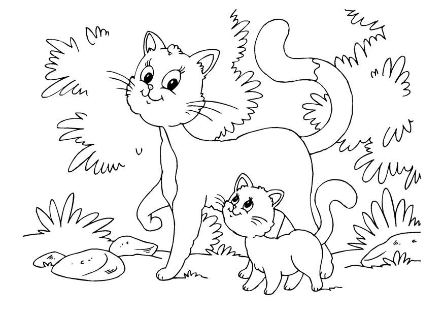 Coloring page cat and kitten