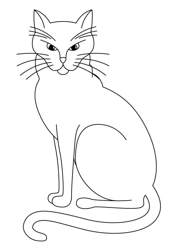 Coloring Page cat - free printable coloring pages - Img 11582