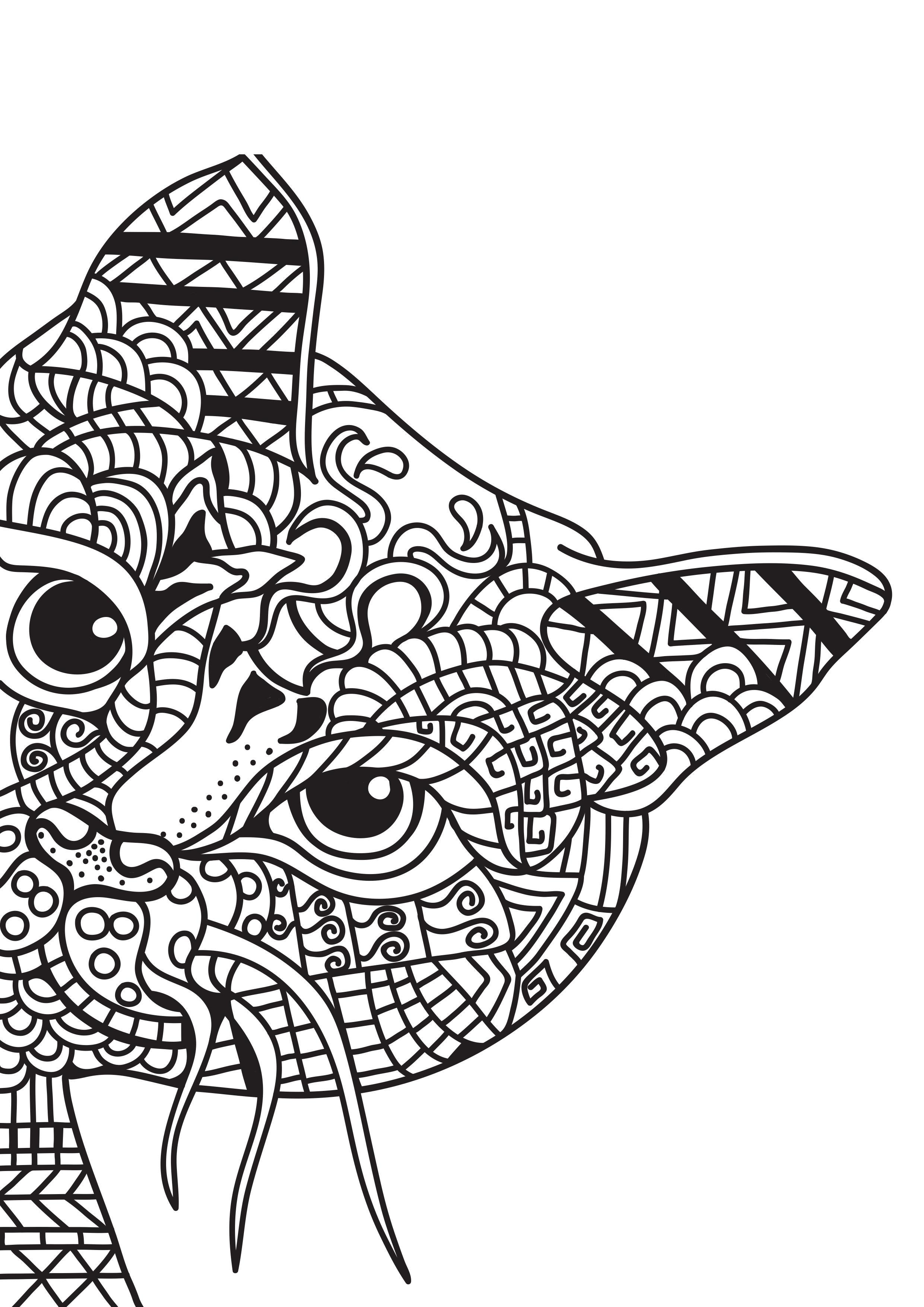 Coloring page cat is hiding