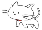 cat
