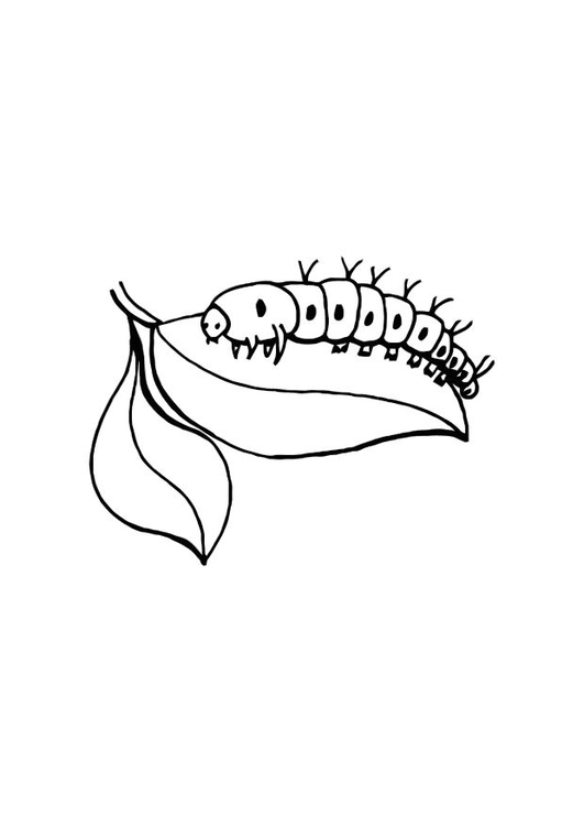 Coloring page caterpillar