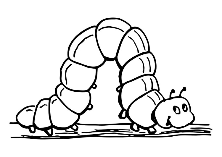 Coloring page caterpillar