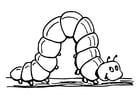 Coloring page caterpillar