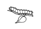 Coloring page caterpillar