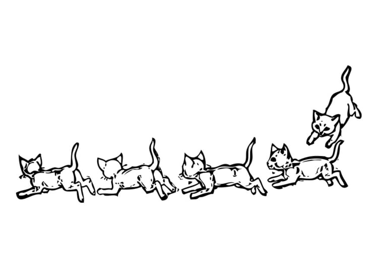 Coloring page cats