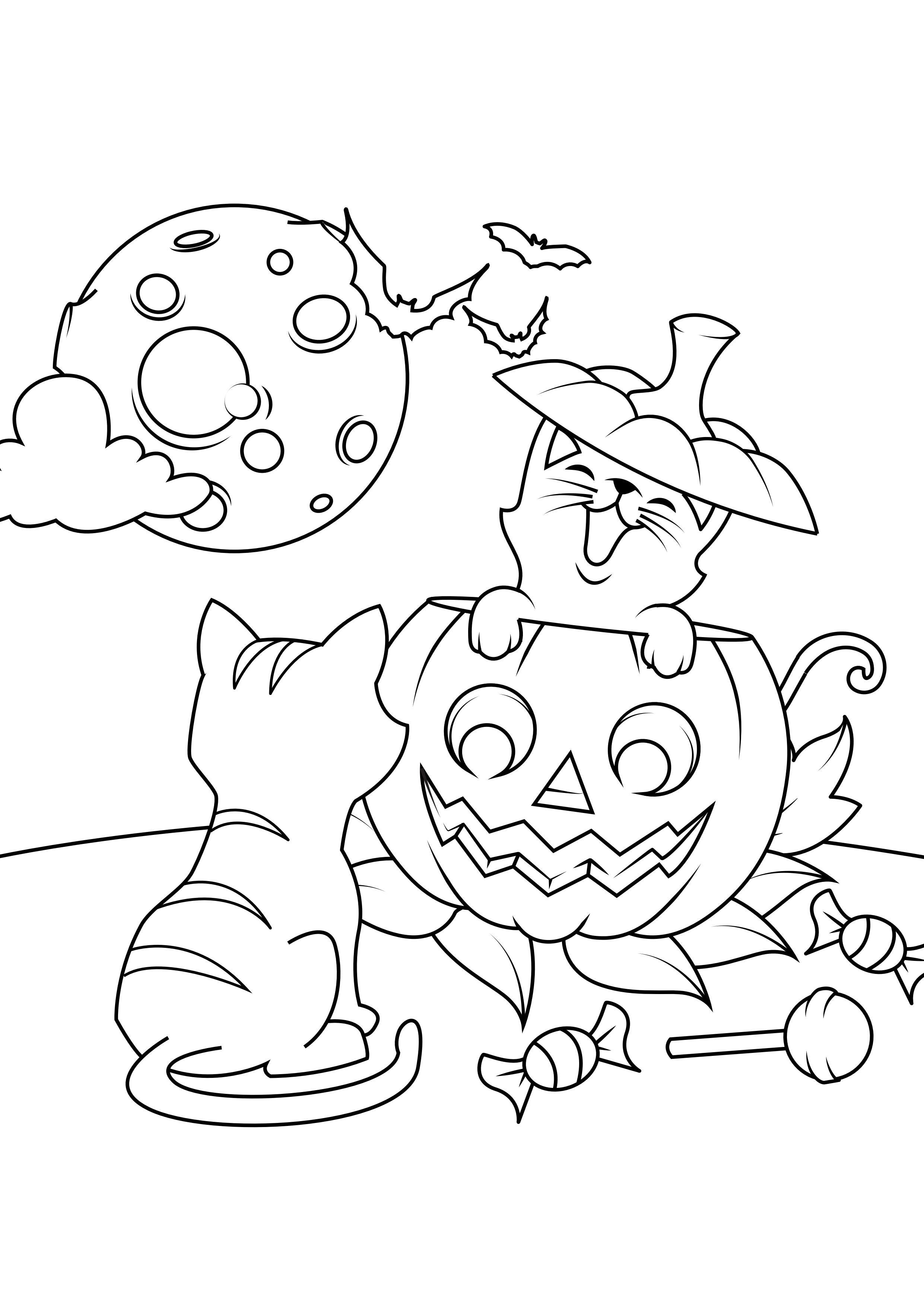 Coloring page cats with pumpkin