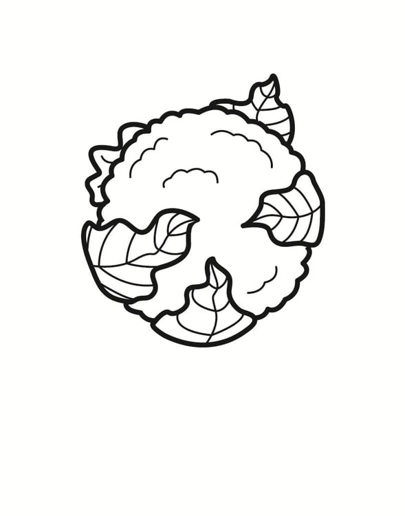 Coloring page cauliflower