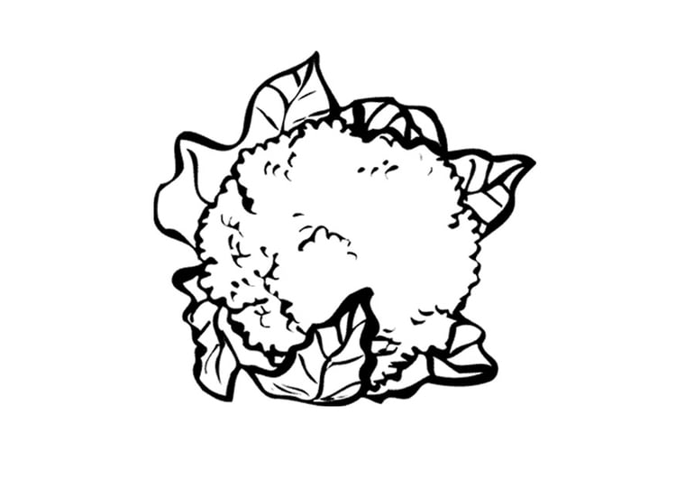 Coloring page cauliflower
