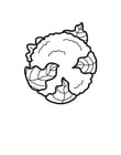 Coloring pages cauliflower
