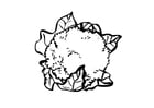Coloring page cauliflower