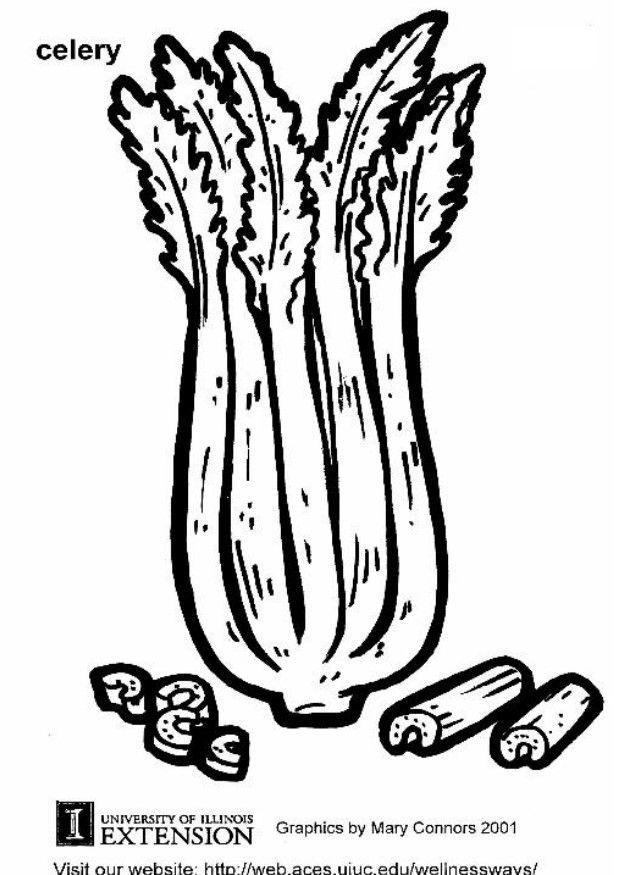 Coloring page celery