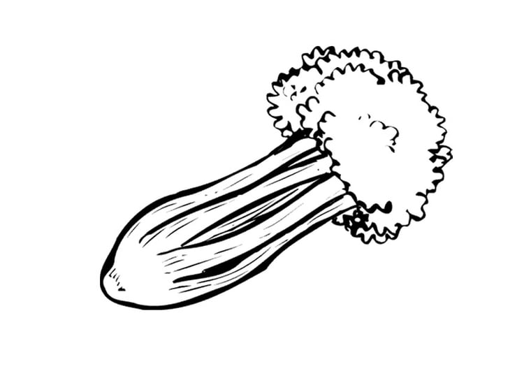 Coloring page celery