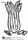 Coloring page celery