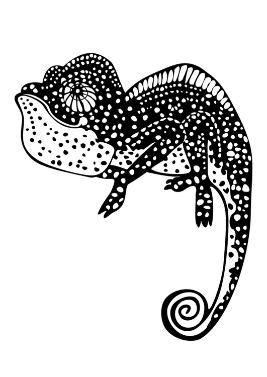 Coloring page chameleon