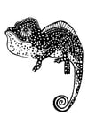 Coloring page chameleon