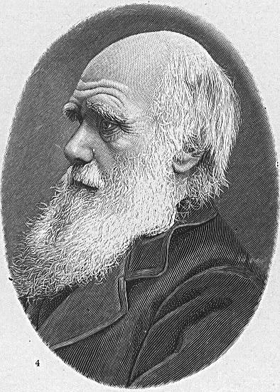 Coloring page Charles Darwin