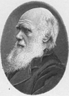 Coloring pages Charles Darwin