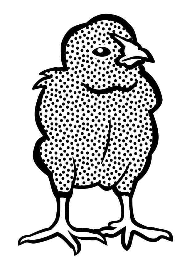 Coloring page chick