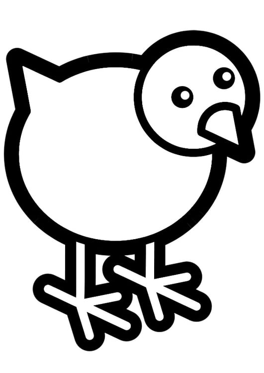 Coloring page chick