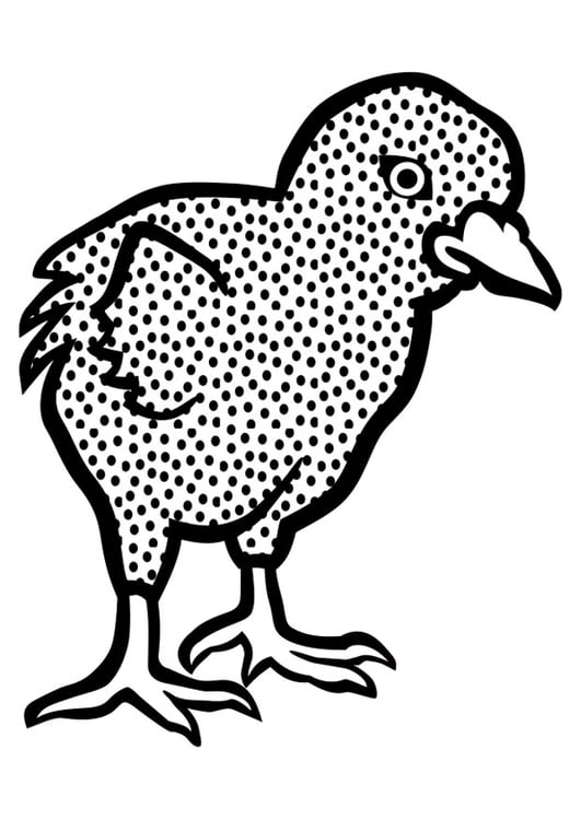 Coloring page chick