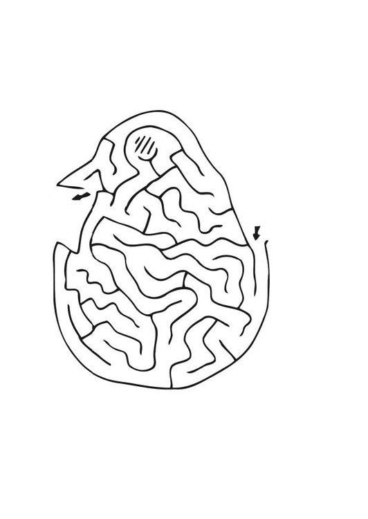 Coloring page chick maze