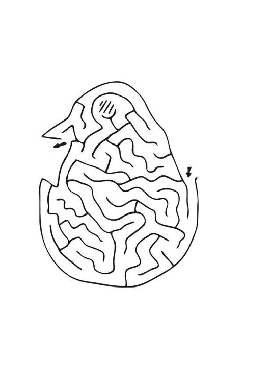 chick maze
