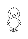 Coloring pages Chick