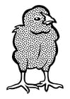 Coloring page chick