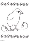 Coloring page chicken